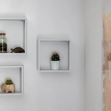 Apartment Domus *