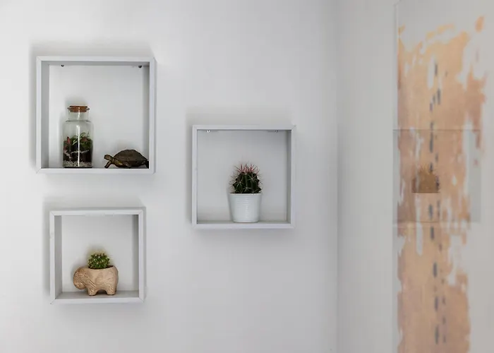 Appartement Domus *